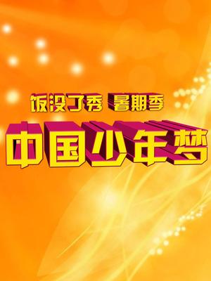 中国少年梦