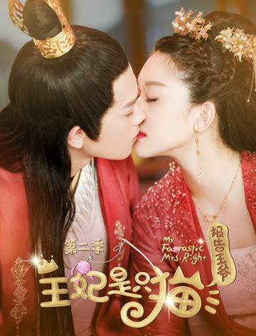 报告王爷王妃是只猫第二季