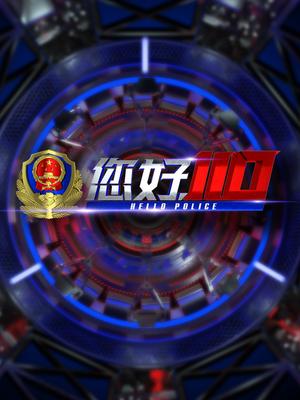 您好,110 第二季