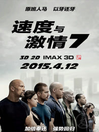 速度与激情7(普通话)