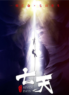 七天(2017)