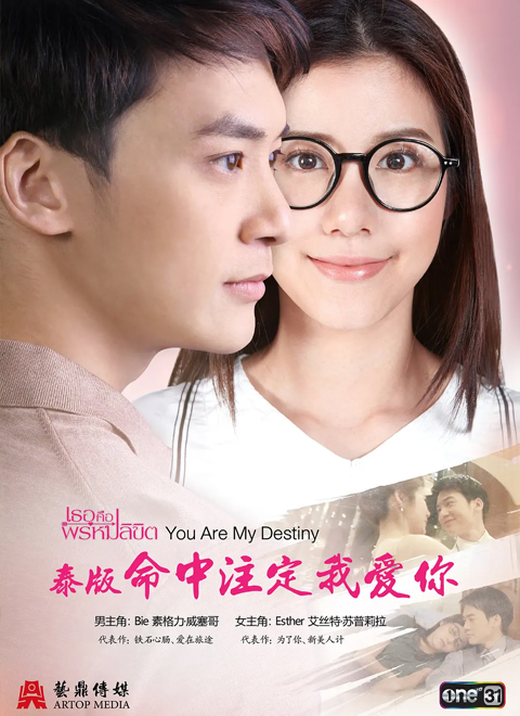 命中注定我爱你(普通话版)