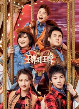 王牌对王牌第五季