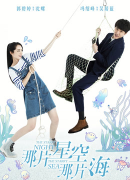 那片星空那片海dvd版