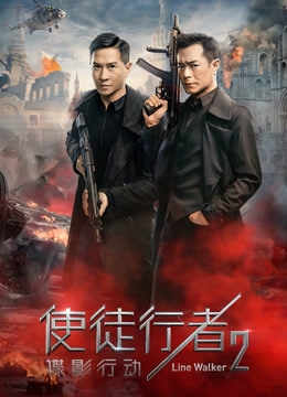 使徒行者2:谍影行动(粤语)