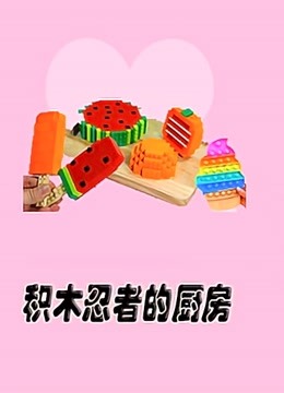 积木忍者的厨房