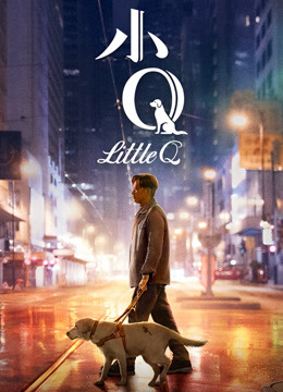 小Q(视障解说版)