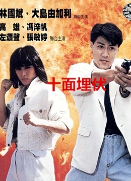 十面埋伏(1989)