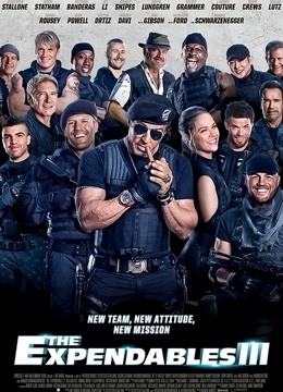 敢死队3(普通话)