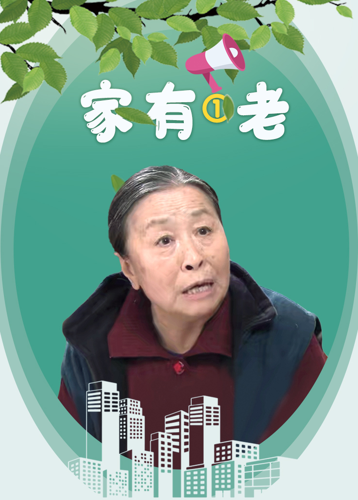 家有一老
