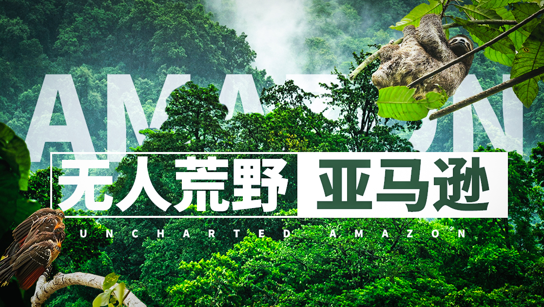 无人荒野：亚马逊