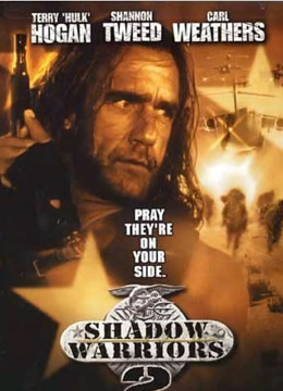 影子勇士2(普通话)